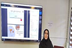 برگزاری سومین کارگاه توانمندسازی کارکنان در بحران با موضوع «مدیریت سلامت سالمندان در بحران»