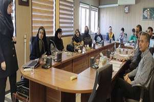 گزارش ژورنال کلاب خانم «فائزه مکی» دانشجوی دکتری تخصصی ارگونومی