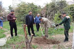 کاشت نهال به مناسبت روز درختکاری در دانشکده بهداشت