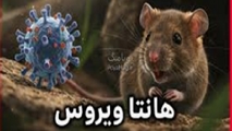هانتا ویروس